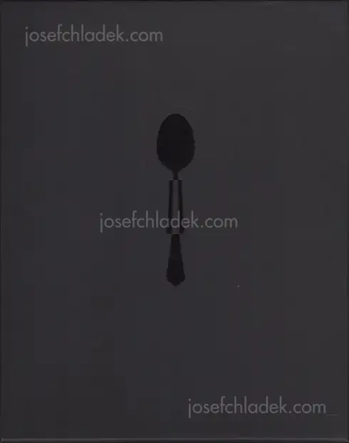 Cover of Manca Juvan - Guardians of the Spoon