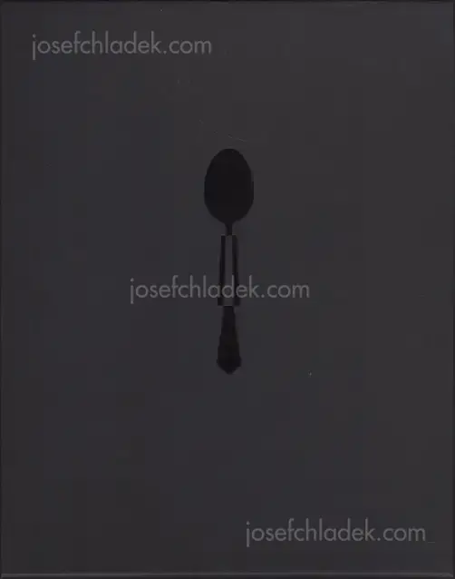 Cover of Manca Juvan - Guardians of the Spoon