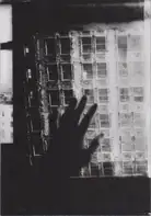 Sergej Vutuc - Pividnost
