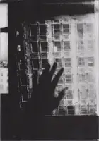 Sergej Vutuc - Pividnost