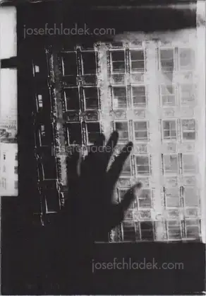 Cover of Sergej Vutuc - Pividnost