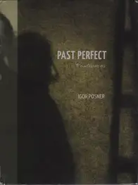 Igor Posner - Past Perfect Continuous