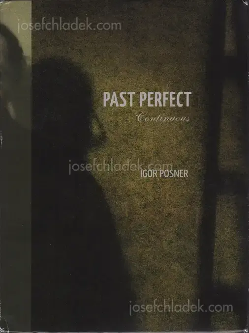 Cover of Igor Posner - Past Perfect Continuous