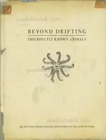 Mandy Barker - Beyond Drifting: Imperfectly Known Animals