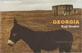 Koji Onaka - Georgia