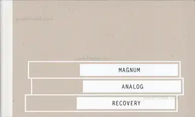 Magnum - Magnum Analog Recovery Magnum - Magnum Analog Recovery