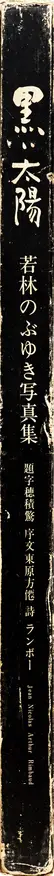Nobuyuki Wakabayashi - Black Sun - 黒い太陽（若林のぶゆき）      .