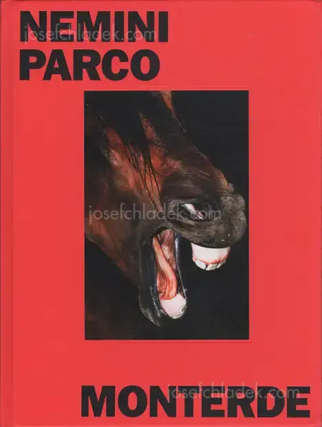 Cover of Jesús Monterde - Nemini Parco
