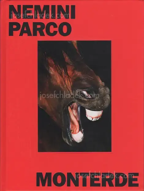 Cover of Jesús Monterde - Nemini Parco