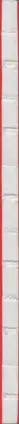 Book spine: Rimaldas Vikšraitis - Homo Vikšraitis