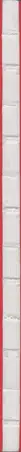 Book spine: Rimaldas Vikšraitis - Homo Vikšraitis
