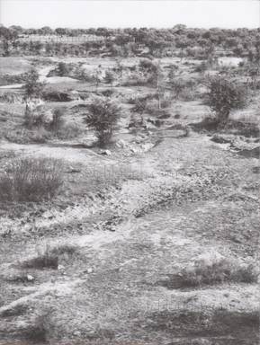  Julia Debus - Konsens (Book front)