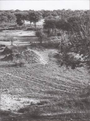  Julia Debus - Konsens (Book back)