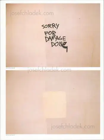 Cover of Vincent Wittenberg and Wladimir Manshanden - Sorry for Damage Done