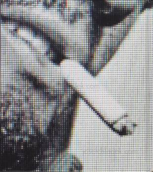  Peter Mann - Troy (Back)