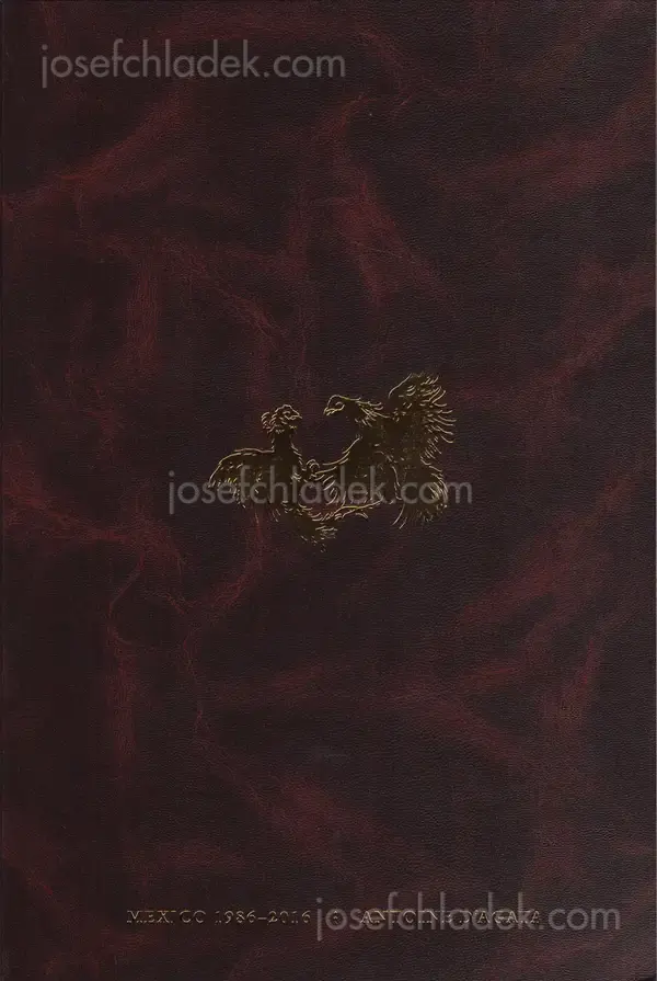 Cover of Antoine D'Agata - CODEX, México 1986-2016