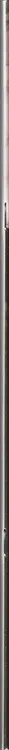 Book spine: Ren Hang - November