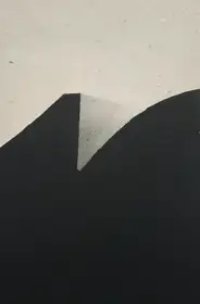 Snowpark (SIGNED)