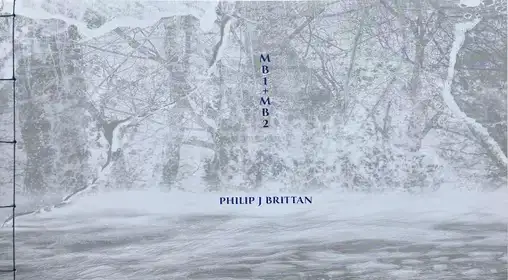 MB1+MB2 (numbered and signed of 100 copies)