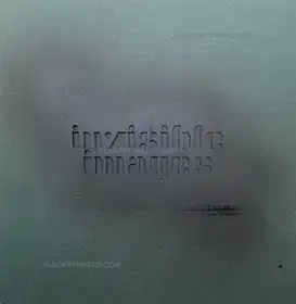 Invisible Images (Signed)