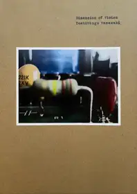 Dimension of Vision (Signed)