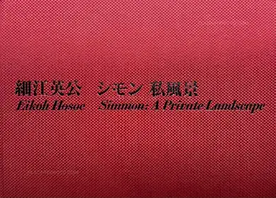 Simmon: a Private Landscape (Signed and numbered /900)