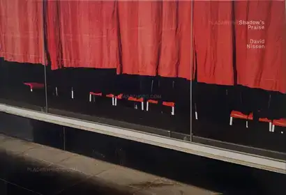 Shadow's Praise (SIGNED)