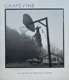 GRAPEVINE