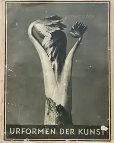 Urformen der Kunst