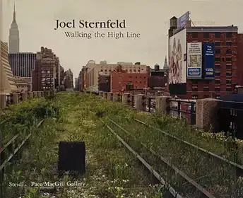 Walking the High Line 