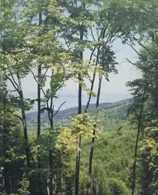 Macedonia