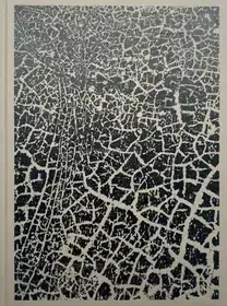 LODE (Signed)