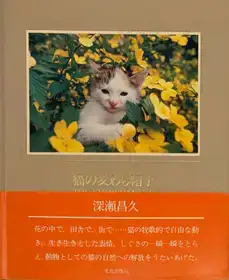 Neko no mugiwara boshi / The Strawhat Cat (Signed)