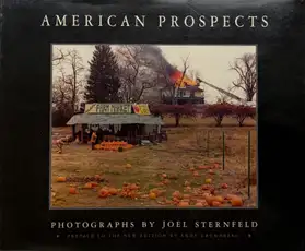 AMERICAN PROSPECTS