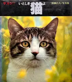 Sasuke !! Itoshiki neko yo / Sasuke !! My dear cat