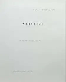 Farewell photography (reprint edition)