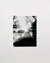 Polaroids (Signed)