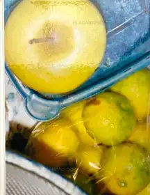 STILL LIFE