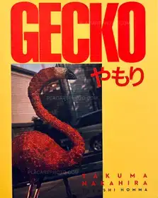 Gecko / Yamori