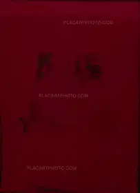 KATE MOSS (COLLECTOR'S EDITION) (SIGNED)